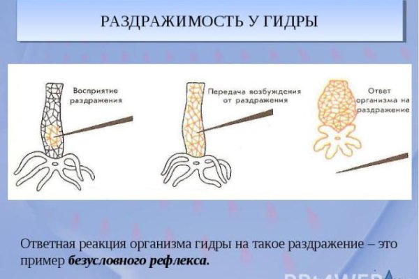 Мега кракен